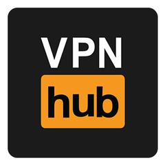 Логотип компании VPNhub