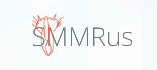 SMMRus - информация о компании