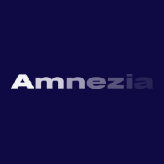 Amnezia VPN - информация о компании