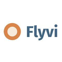 Flyvi.io - информация о компании