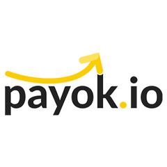 Логотип компании Payok.io