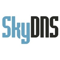 Логотип компании SkyDNS.ru