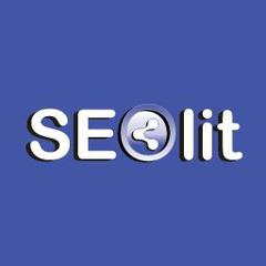 Seolit.ru - информация о компании