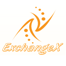 ExchangeX.biz - информация о компании