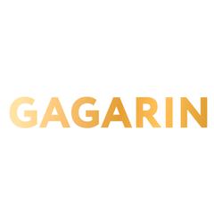 Gagarin Partners - информация о компании