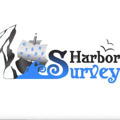 SurveyHarbor.com - информация о компании