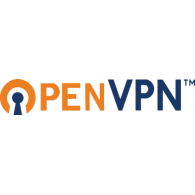 Логотип компании OpenVPN