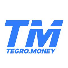 Tegro.Money - информация о компании