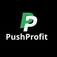 Логотип компании PushProfit.ru