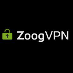 ZoogVPN - информация о компании