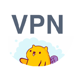 VPN Бобер - информация о компании