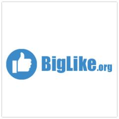 BIGLIKE - информация о компании