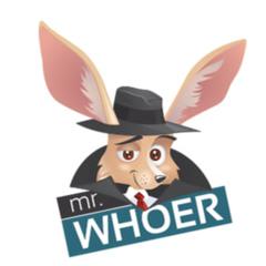 Whoer VPN - информация о компании