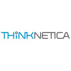 Thinknetica - информация о компании