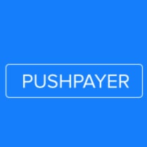 Логотип компании PushPayer.net