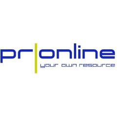 PRonline.ru - информация о компании