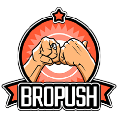 BroPush - информация о компании