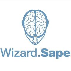 Sape Wizard - информация о компании