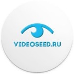 VideoSeed - информация о компании