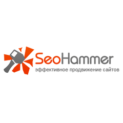 Логотип компании SeoHammer.ru