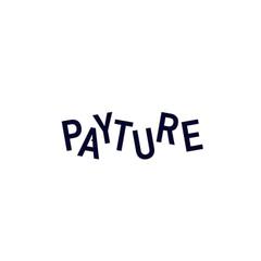 Payture.com - информация о компании