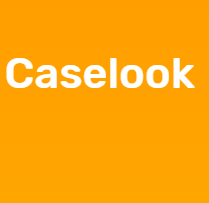 Логотип компании Caselook.ru