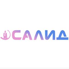 САЛИД - информация о компании