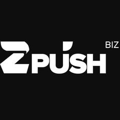 zPush.biz - информация о компании