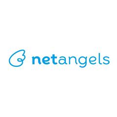 Логотип компании NetAngels.ru